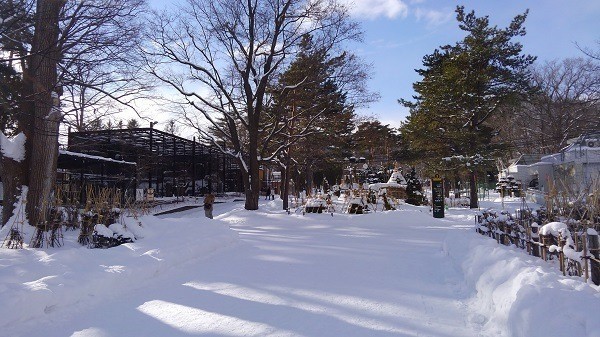 冬の円山動物園のみどころ