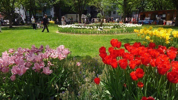 さっぽろライラックまつりと札幌ラーメンショー