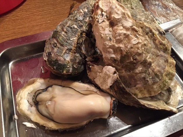 Akkeshi oyster