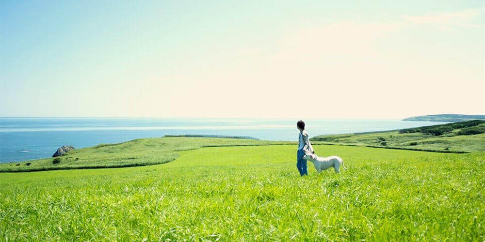 北海道　旅行　初めて