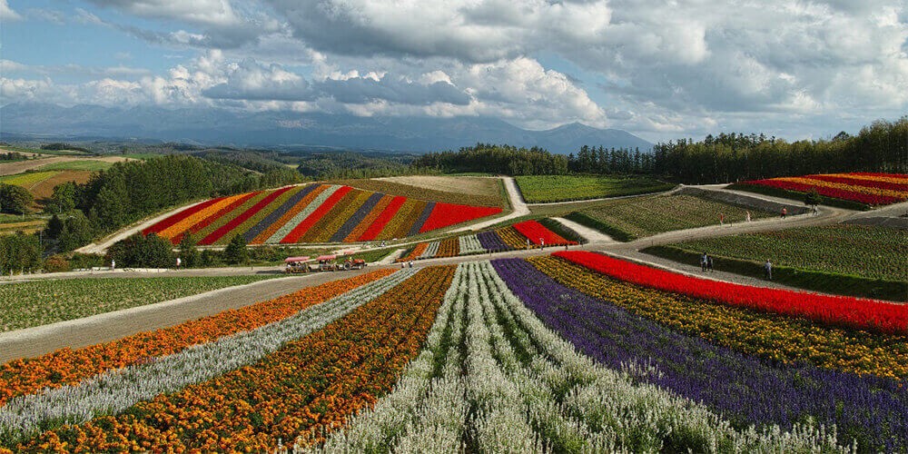 Beautiful Hokkaido