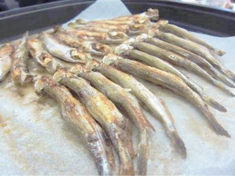 むかわ町　カネダイ大野商店ししゃも