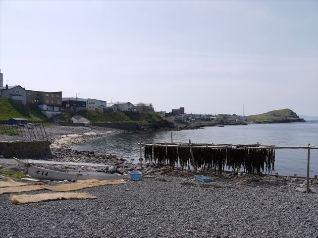 Rishiri kombu drying on the beach