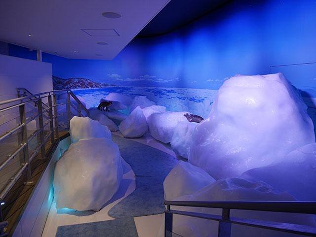 オホーツク流氷館