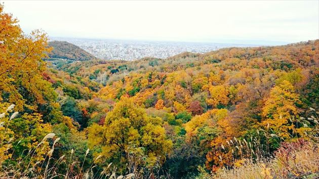 札幌紅葉 イメージ