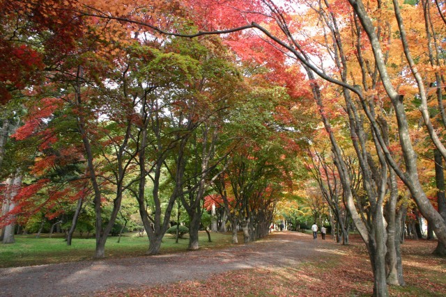 daytime Kosetsu-en