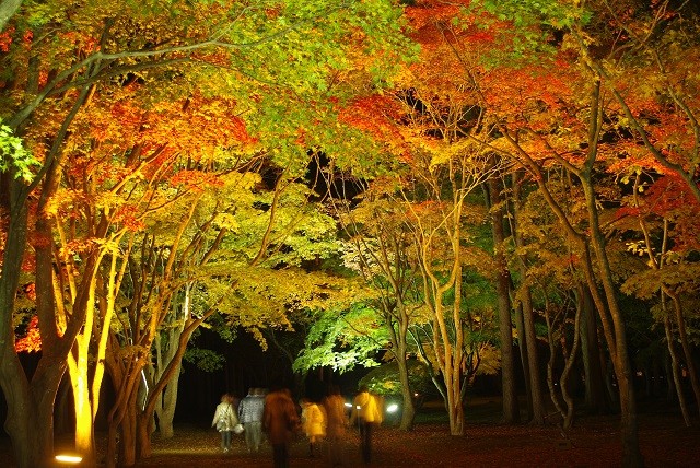 nighttime Kosetsu-en