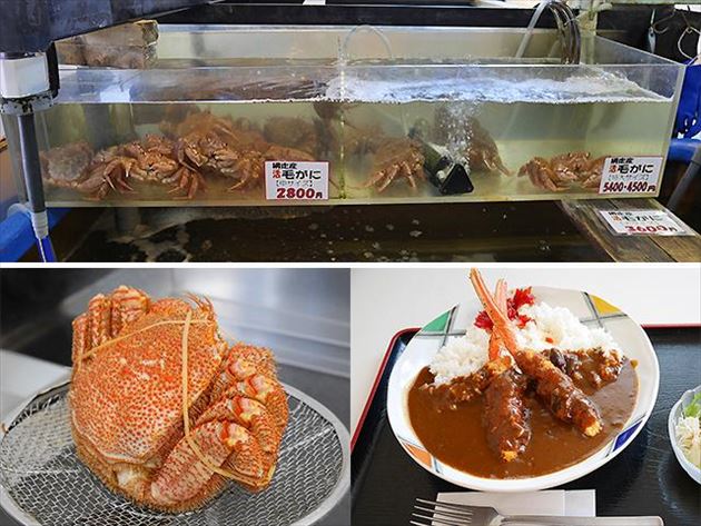 網走毛ガニ　イメージ