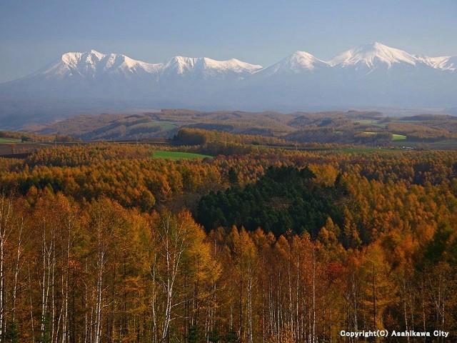 Many-colored forest scenery in Asahikawa