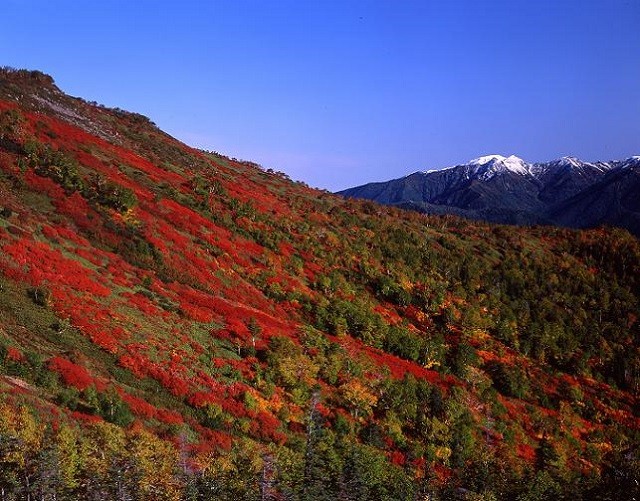 大雪山