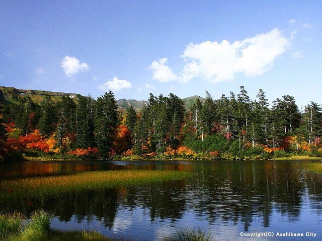 Daisetsu Highland Marsh