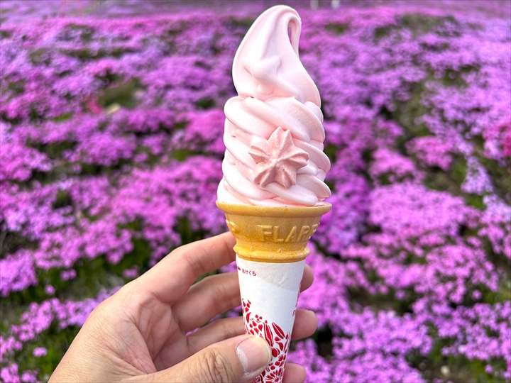 ひがしもこと芝桜公園 ソフトクリーム
