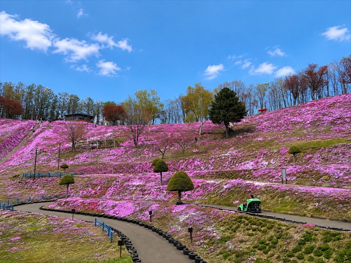 ひがしもこと芝桜公園