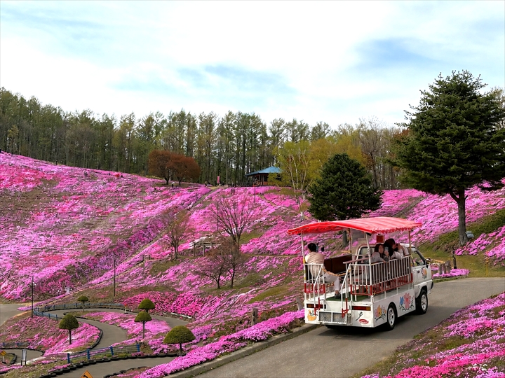 ひがしもこと芝桜公園