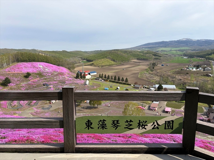 ひがしもこと芝桜公園