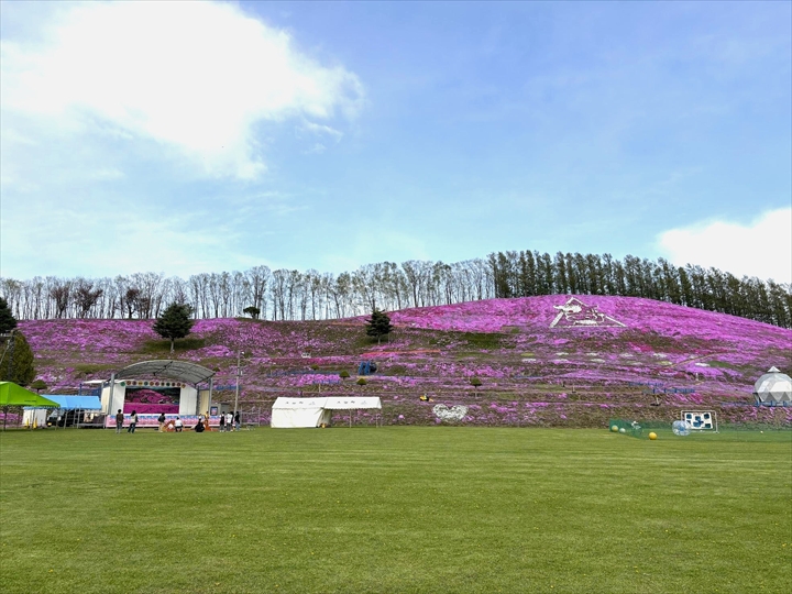 ひがしもこと芝桜公園