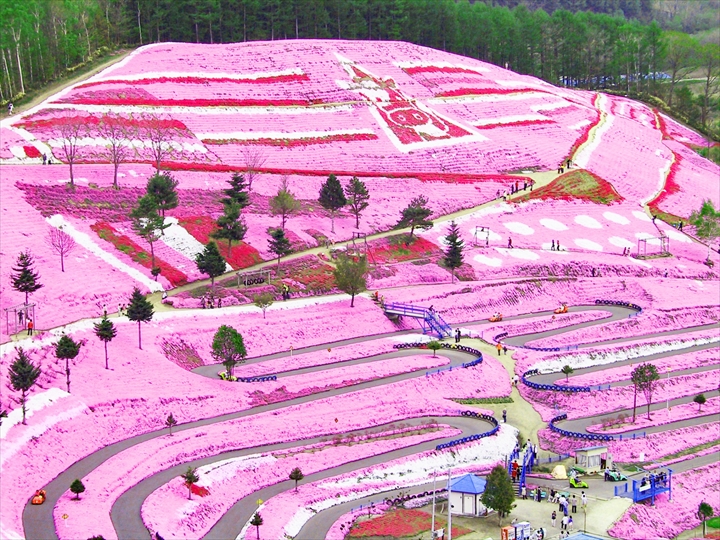 ひがしもこと芝桜公園