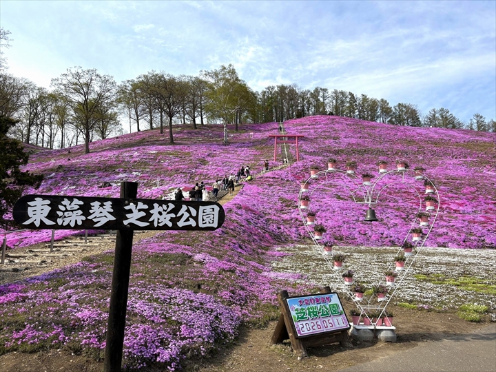 ひがしもこと芝桜公園