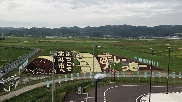 新函館北斗駅の田んぼアート