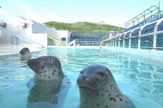 北海道の水族館