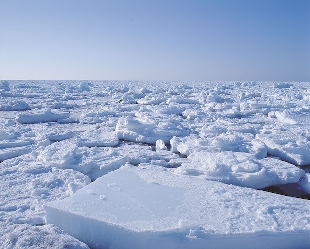 Pancake Ice Along Shiretoko Winter In Northern Hokkaido, Japan Poster Print  By Darrell Gulin Item VARPDDAS15DGU0141