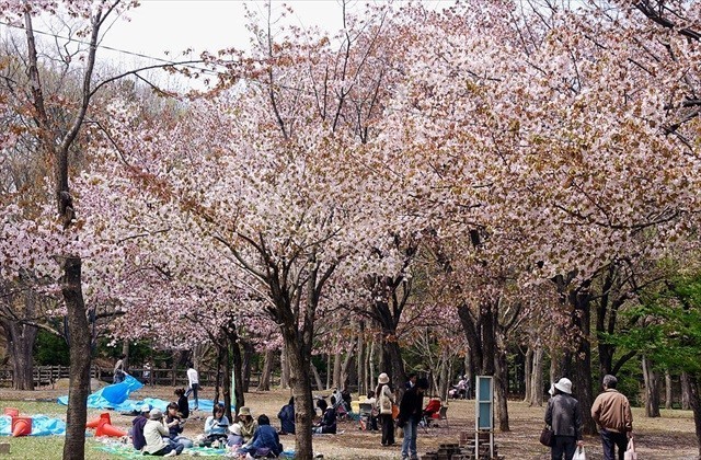 札幌　公園