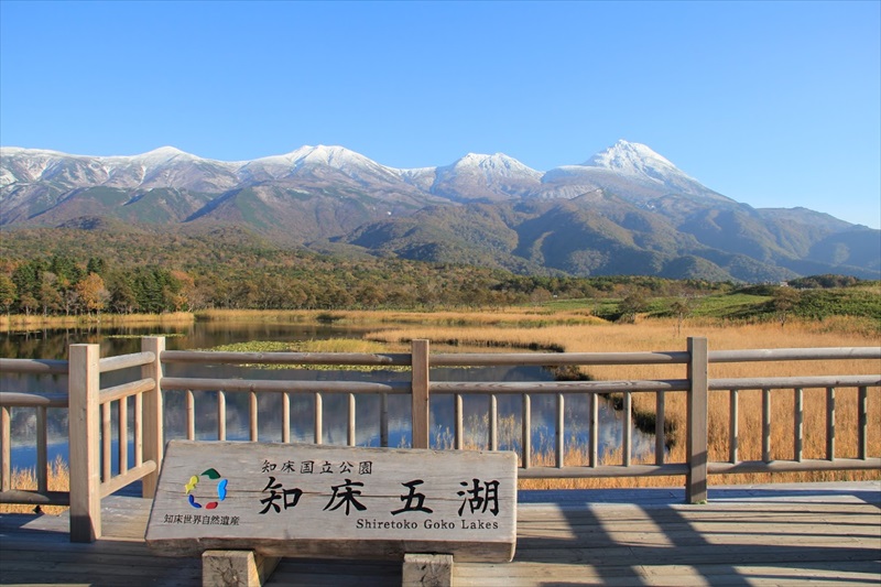 知床到底要怎麼玩 人氣景點 達人玩法一次告訴你 北海道labo