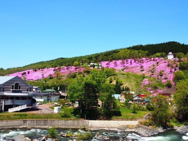 滝上芝桜公園
