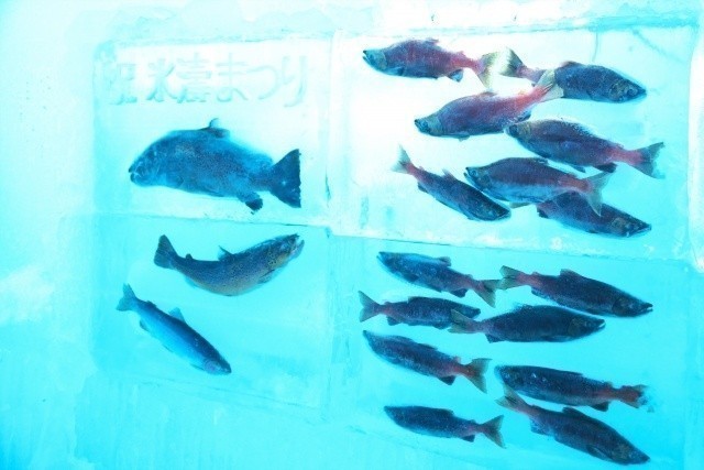 北海道　海鮮　トップ画像