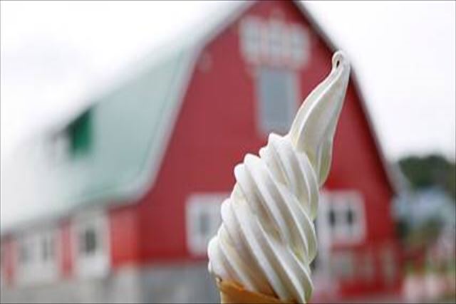 町村農場ミルクガーデン　ソフトクリーム　