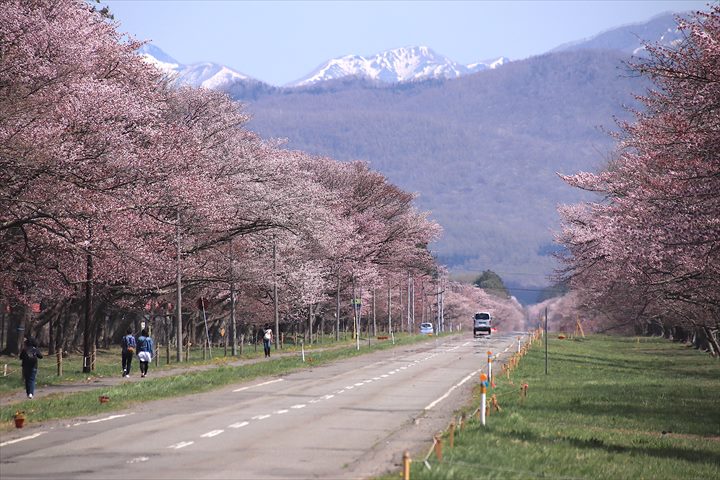 北海道　ドライブコース　絶景