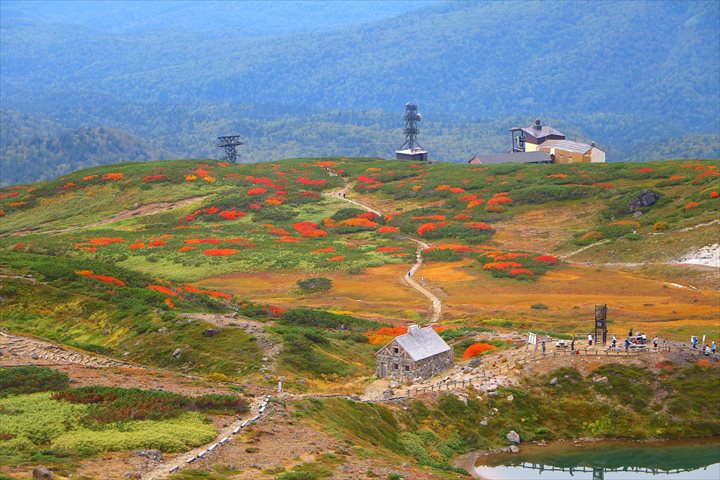 旭岳　紅葉