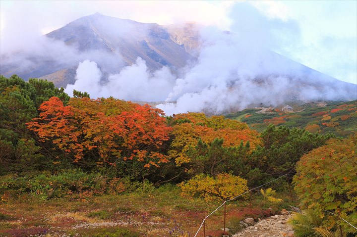 旭岳　紅葉