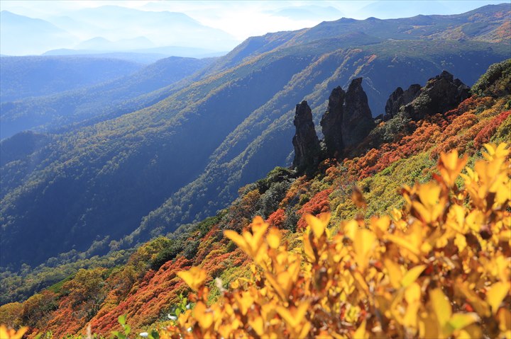 黒岳　紅葉