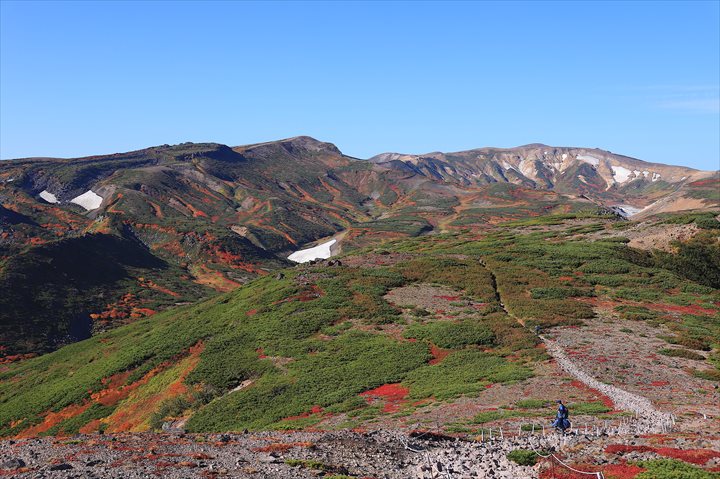 黒岳　紅葉