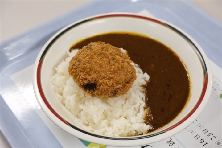 北海道大学　観光　食堂