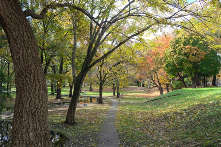 北海道大学　観光　中央ローン