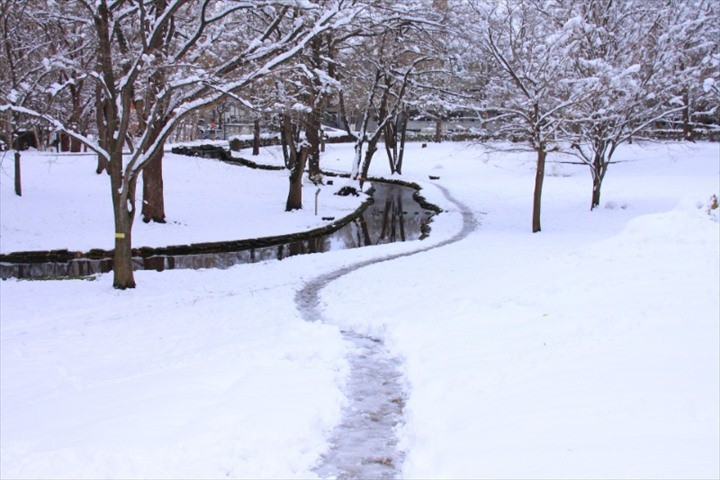 北海道大学　観光　中央ローン