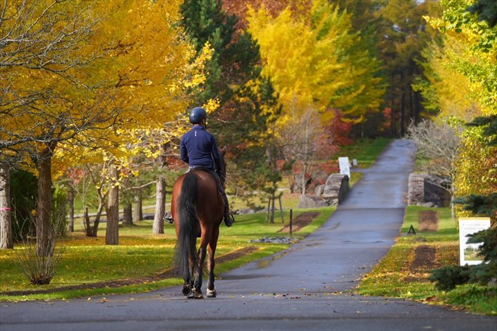 ノーザンホースパーク　紅葉