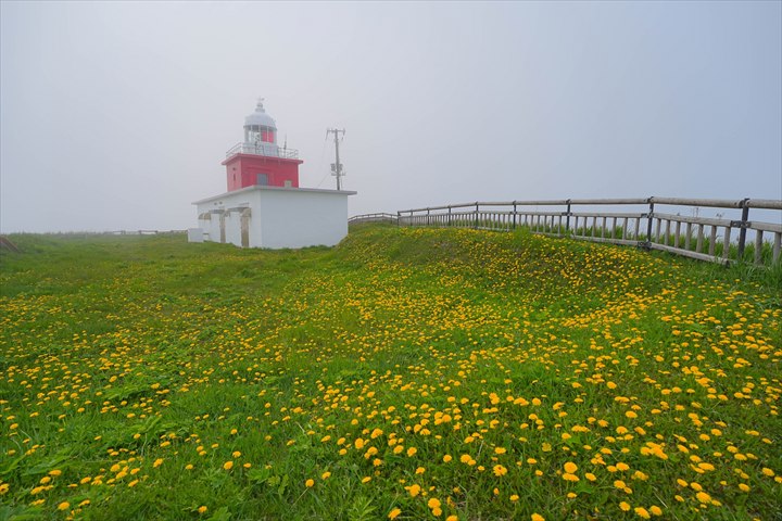 霧多布岬