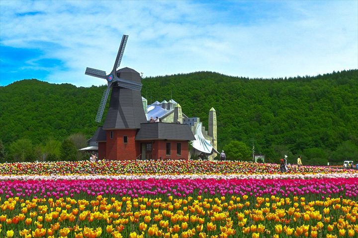 北海道　春　絶景　かみゆうべつチューリップ公園