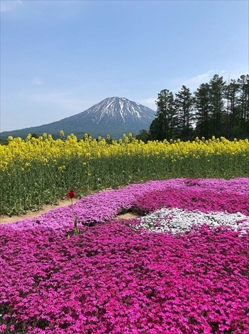 北海道　春　絶景