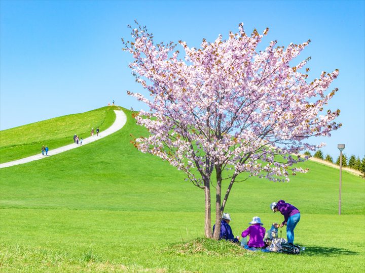 北海道　春　絶景