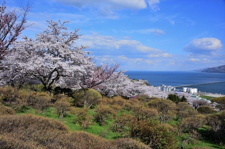 北海道　春　絶景