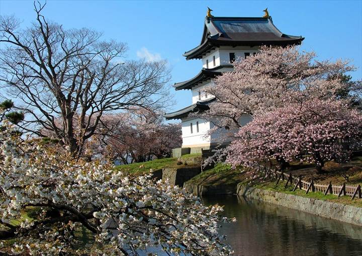 北海道　春　絶景　松前公園