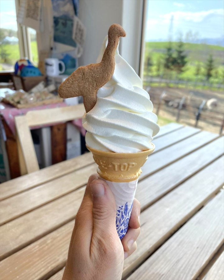 第二有島だちょう牧場 だちょう屋　ソフトクリーム