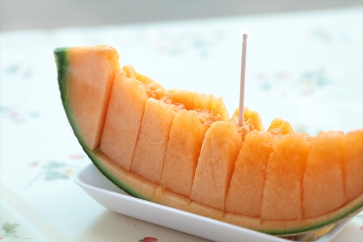夏　北海道　メロン