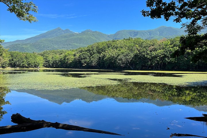 夏　北海道　知床五湖