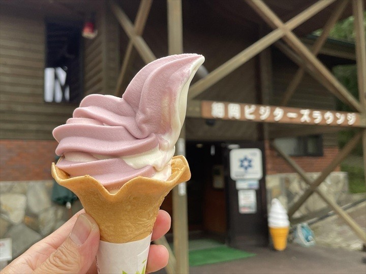 くしろ湿原ノロッコ号