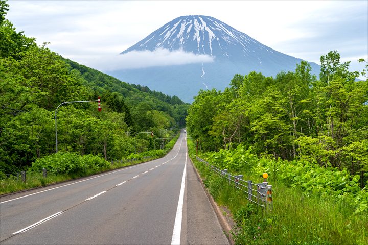 ニセコ　観光